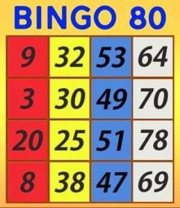 Bingo 80